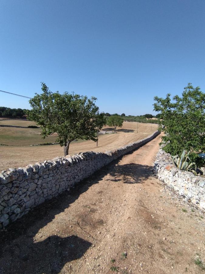 Masseria Catucci Agriturismo Alberobello Extérieur photo