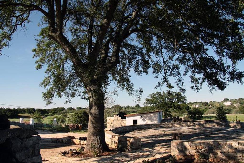 Masseria Catucci Agriturismo Alberobello Extérieur photo